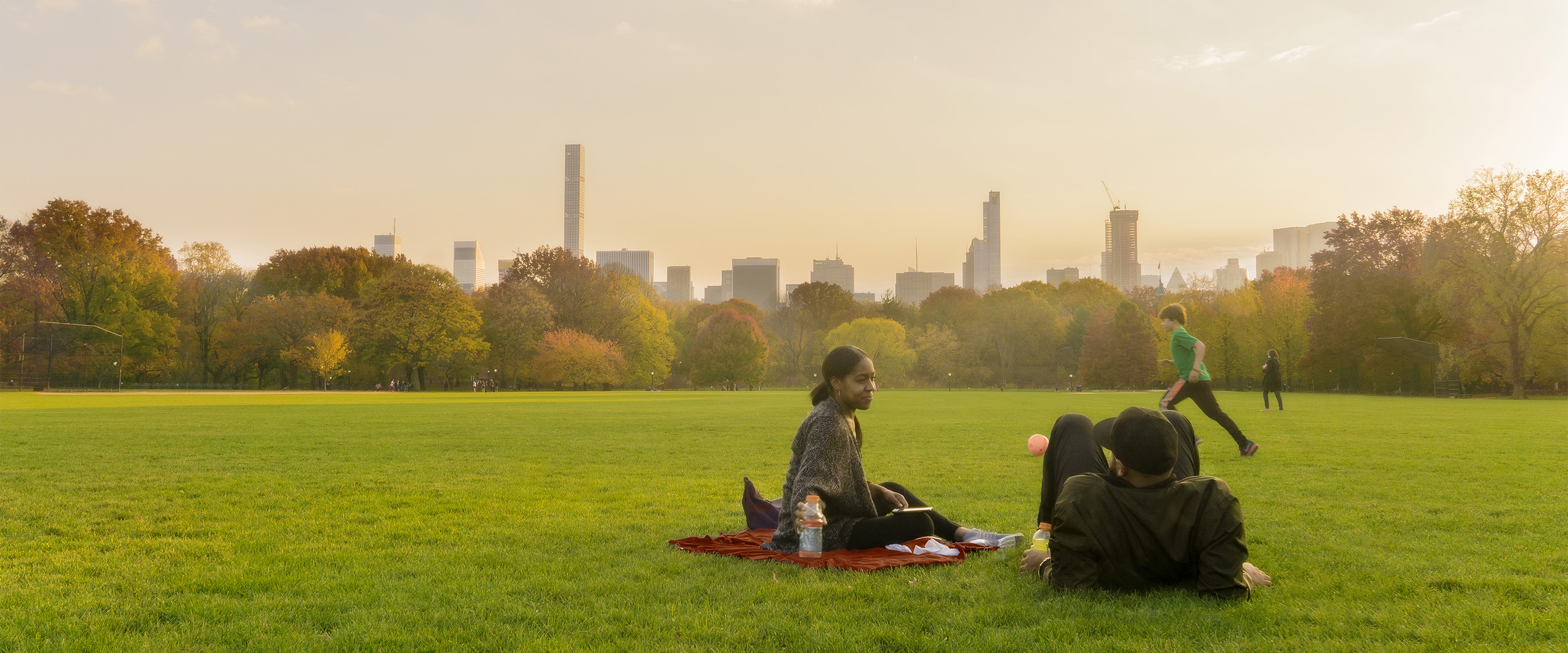 Are Dogs Allowed On The Great Lawn In Central Park